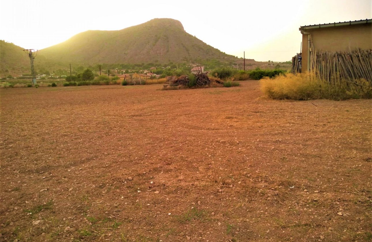 Reventa - land -
Aspe - Aspe Centro