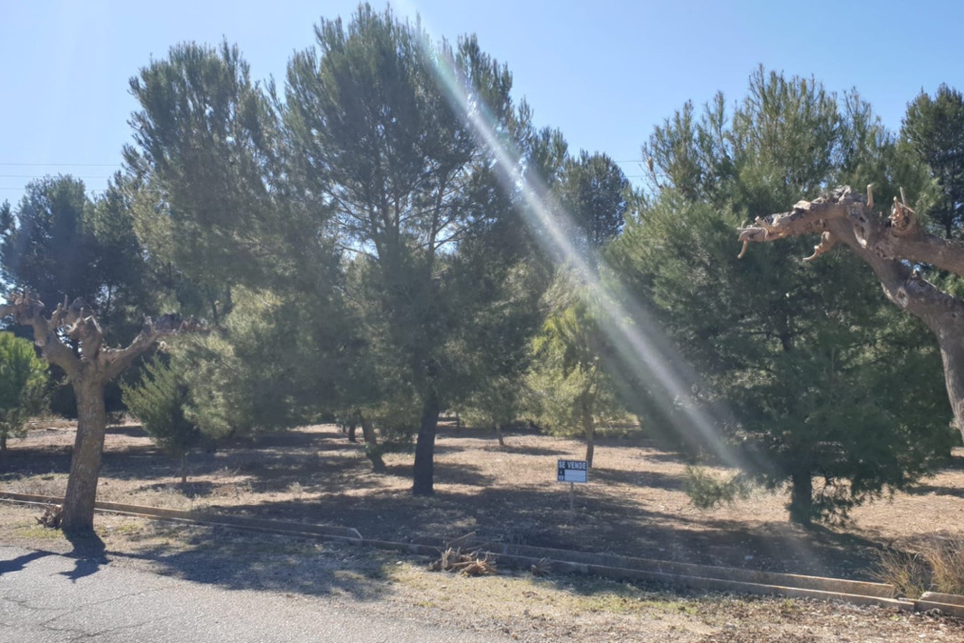 Reventa - land -
Beneixama - Benejama - Beneixama - Benejama Centro