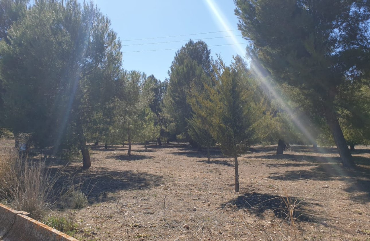 Reventa - land -
Beneixama - Benejama - Beneixama - Benejama Centro