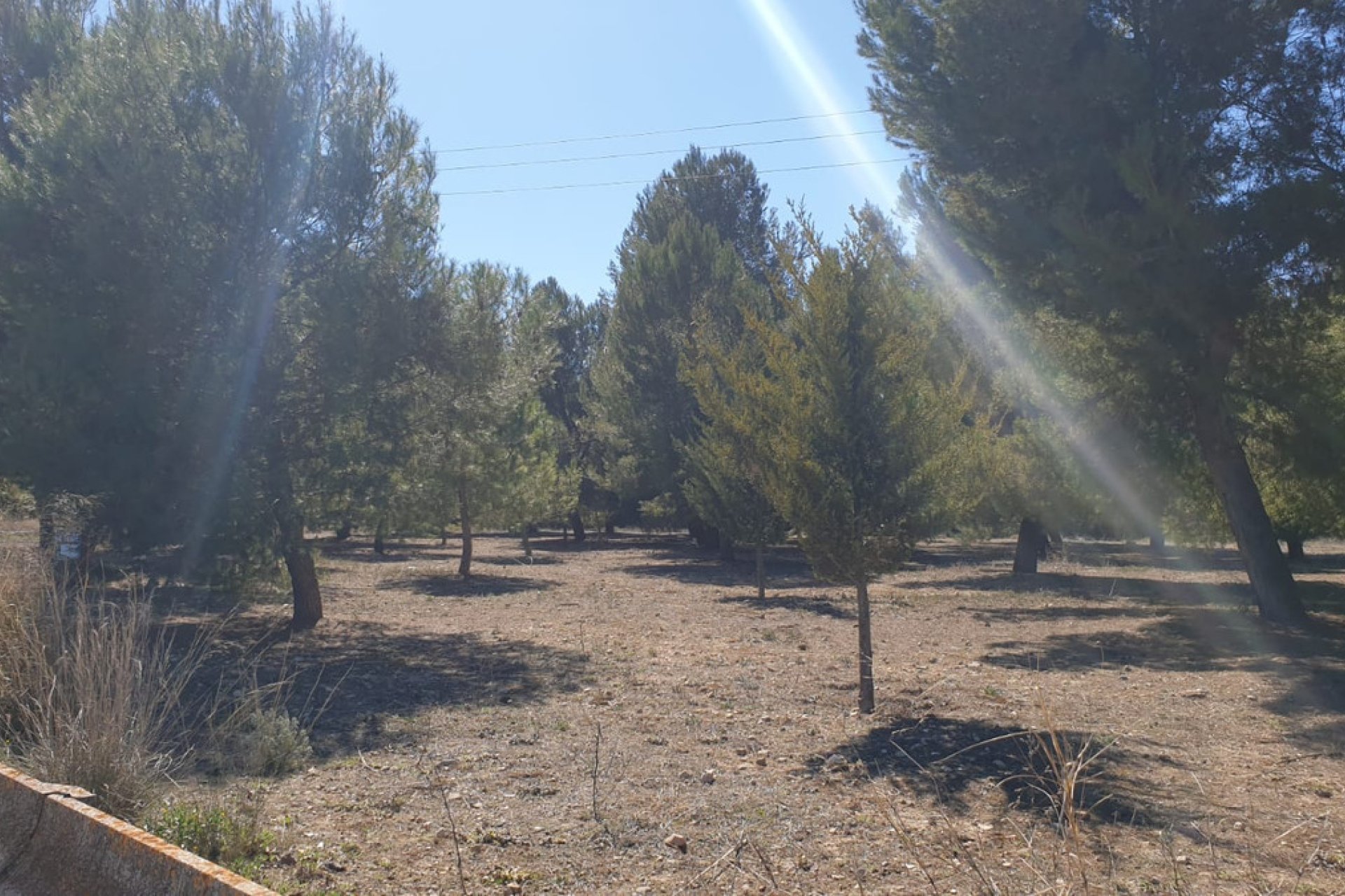 Reventa - land -
Beneixama - Benejama - Beneixama - Benejama Centro