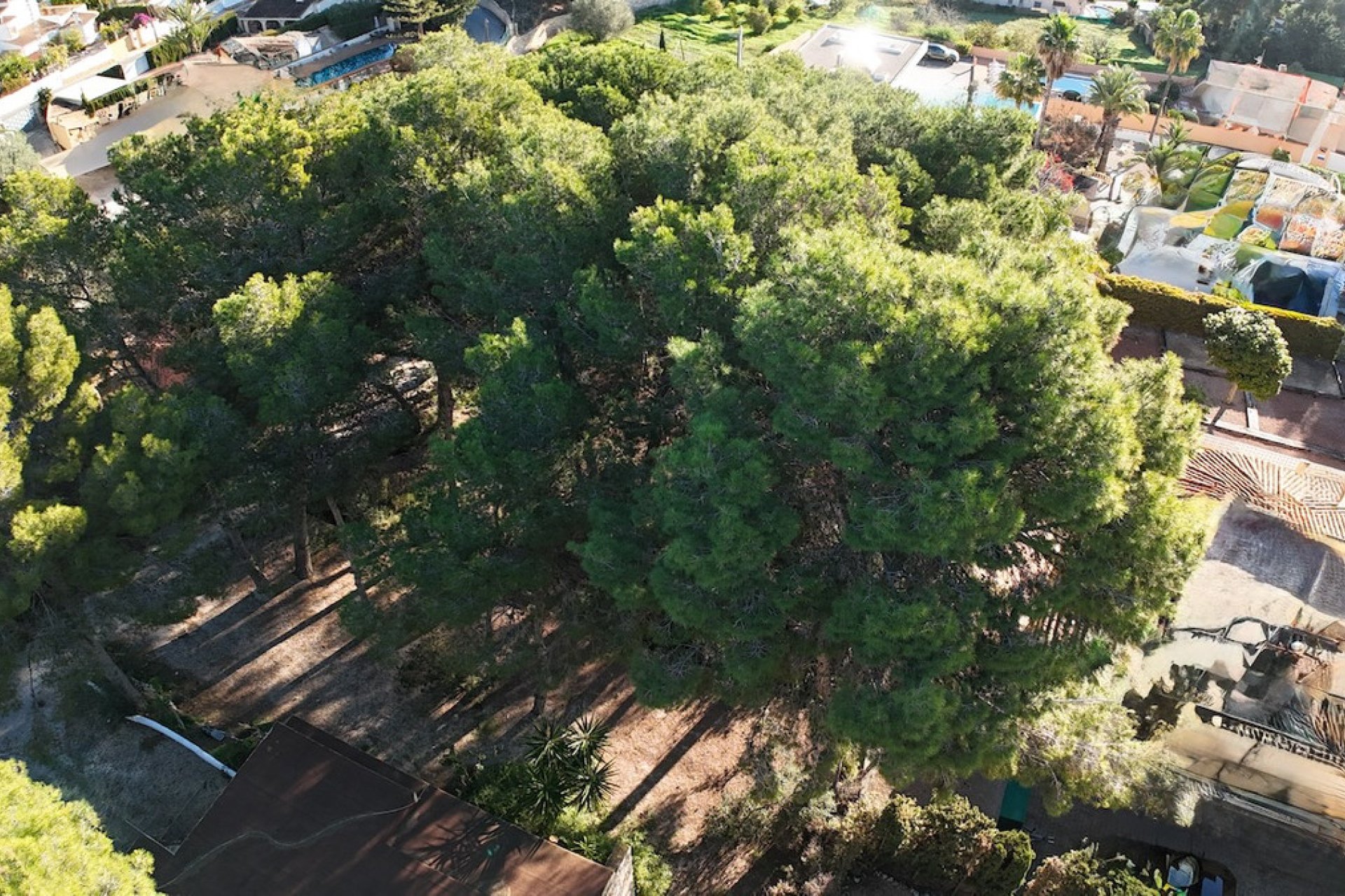 Reventa - land -
Benissa - La Cometa