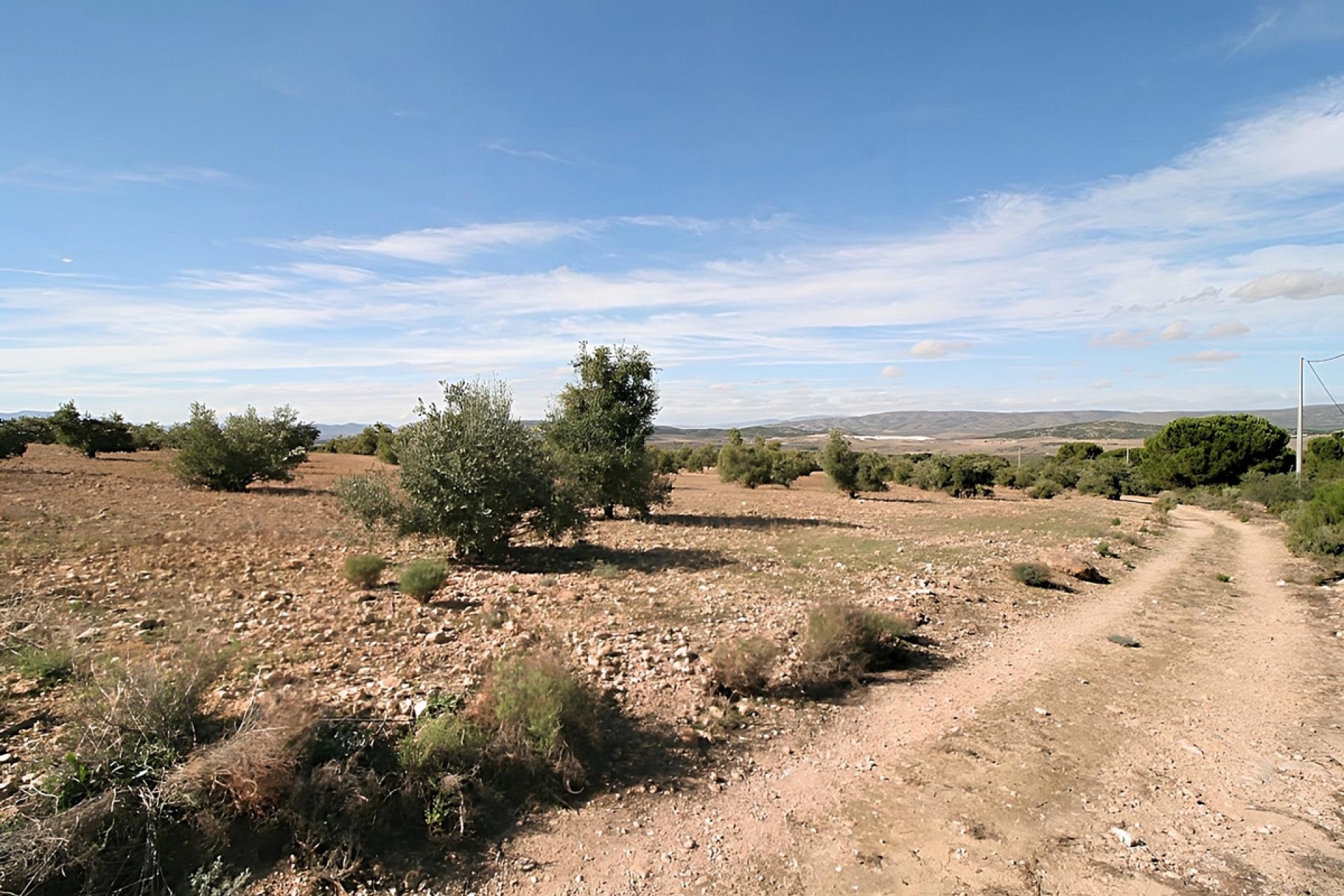 Reventa - land -
Biar - Biar Centro