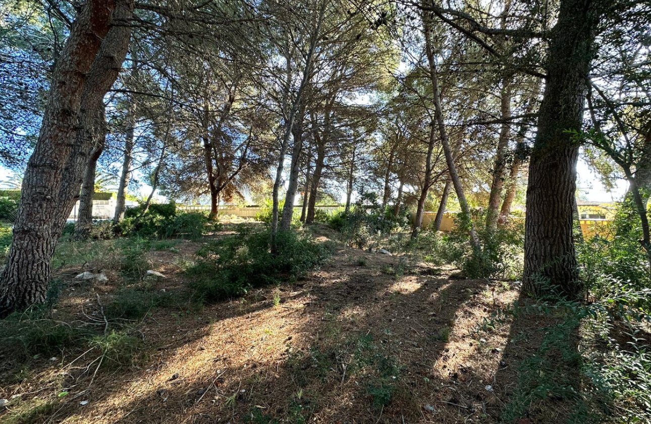 Reventa - land -
Calpe - Calpe Centro