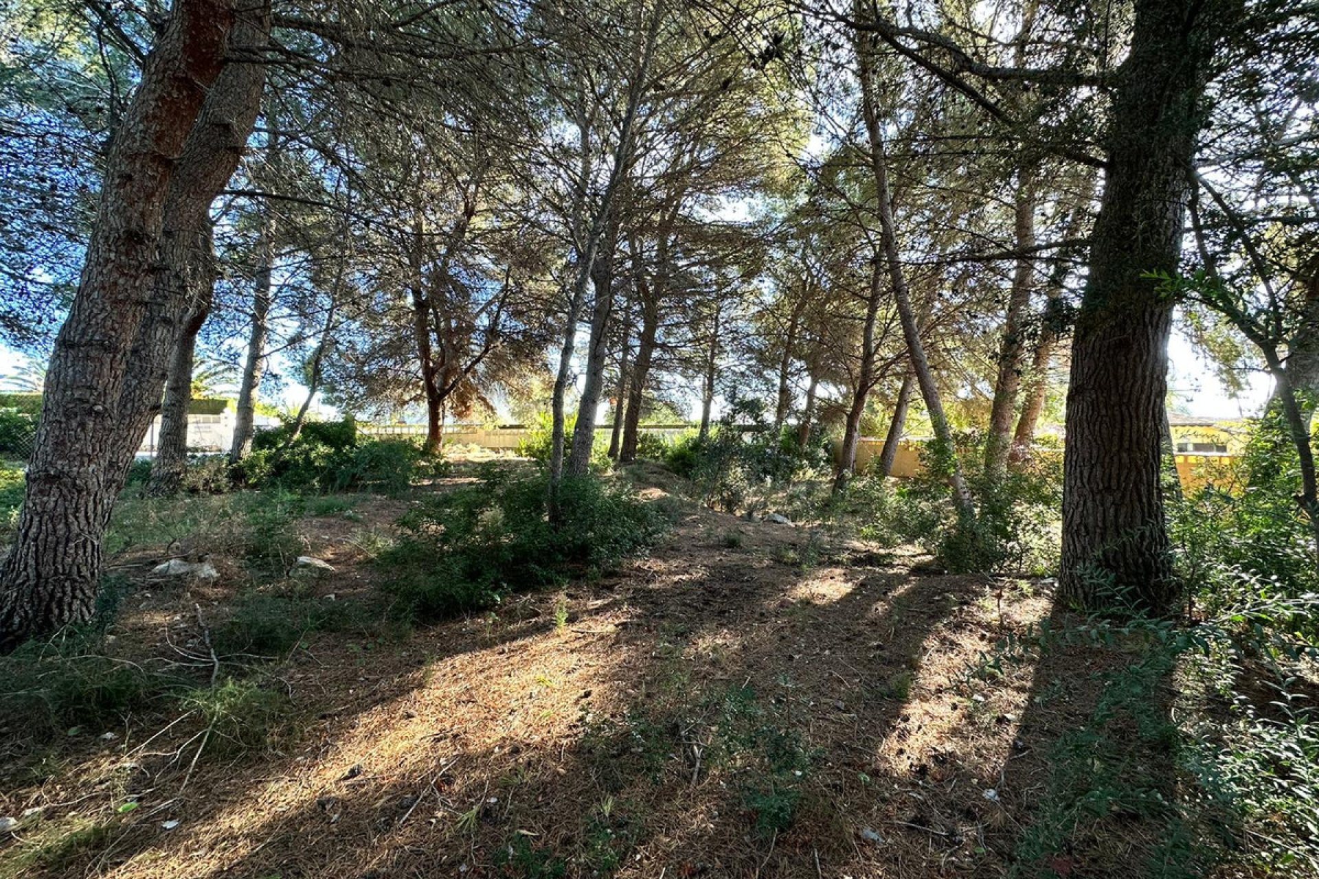 Reventa - land -
Calpe - Calpe Centro