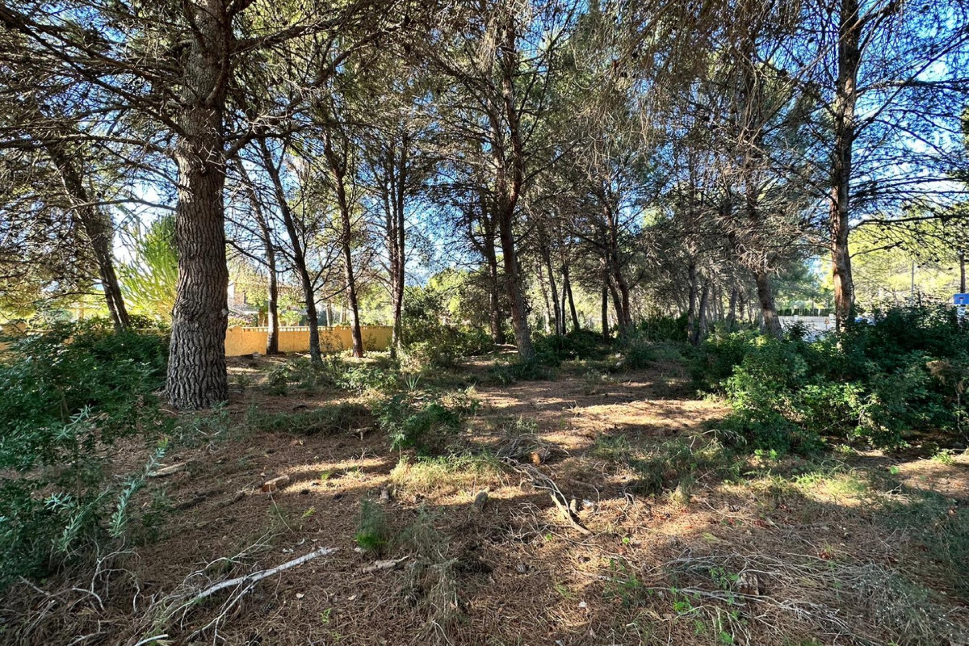 Reventa - land -
Calpe - Calpe Centro