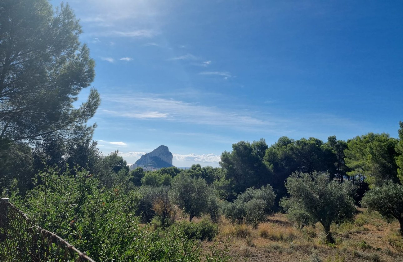 Reventa - land -
Calpe - Calpe Centro