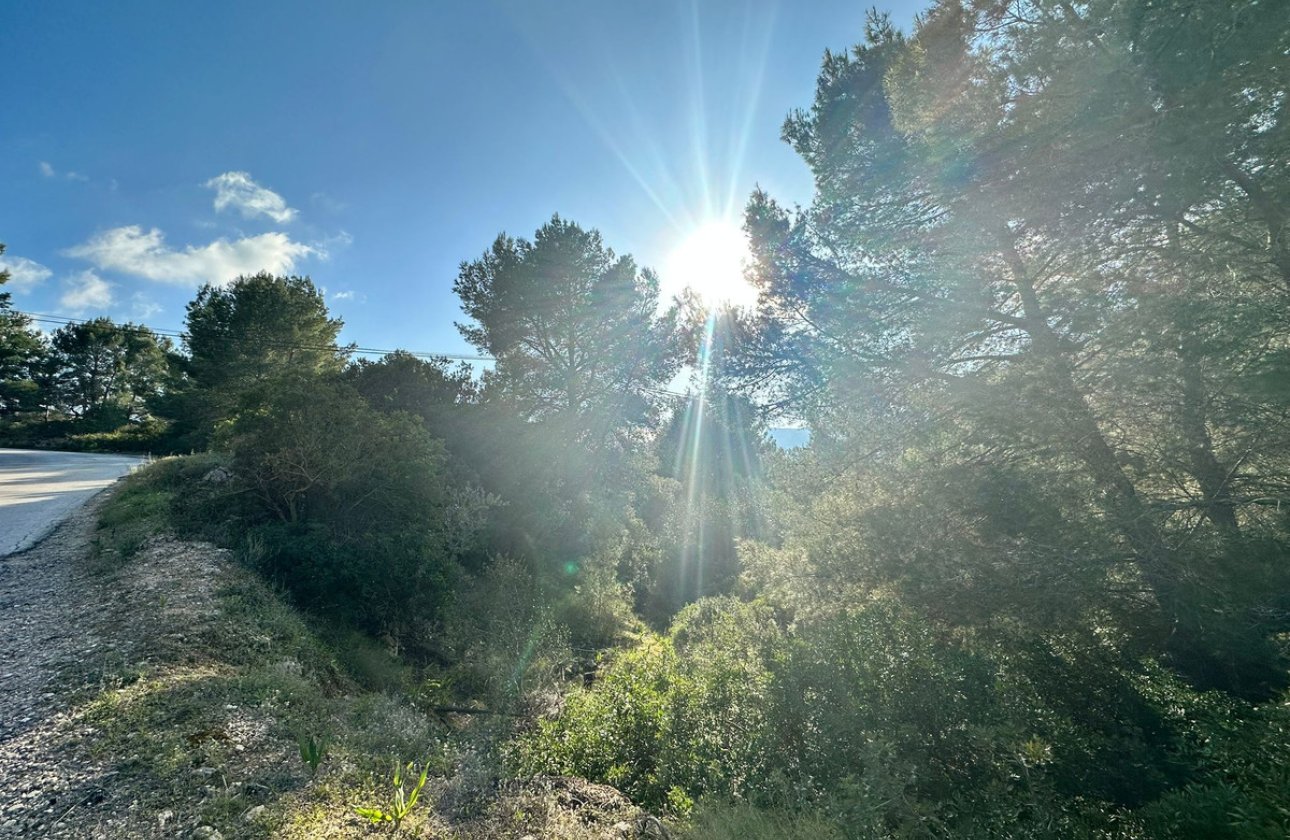 Reventa - land -
Calpe - Calpe Centro