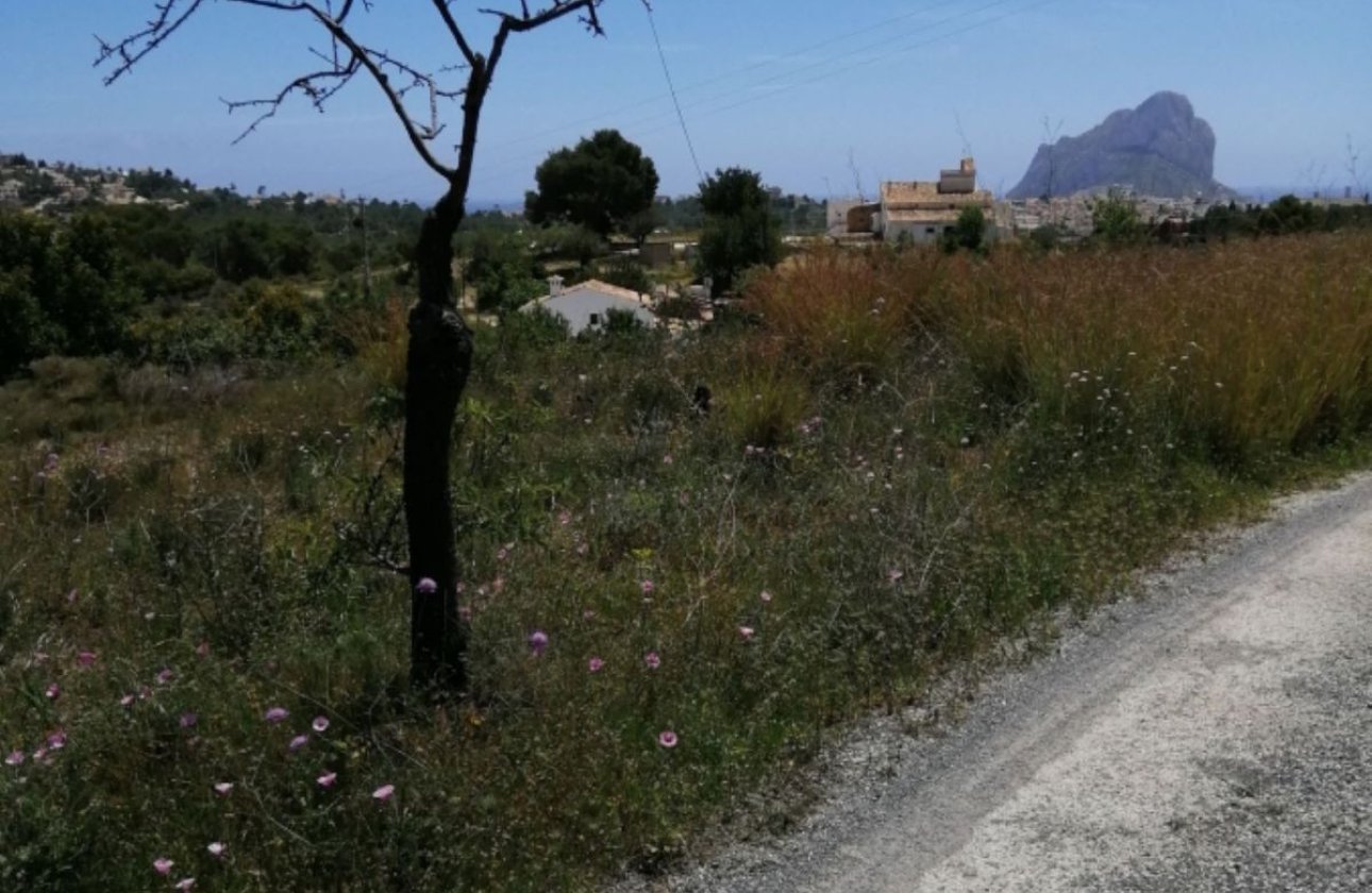 Reventa - land -
Calpe - Calpe Centro