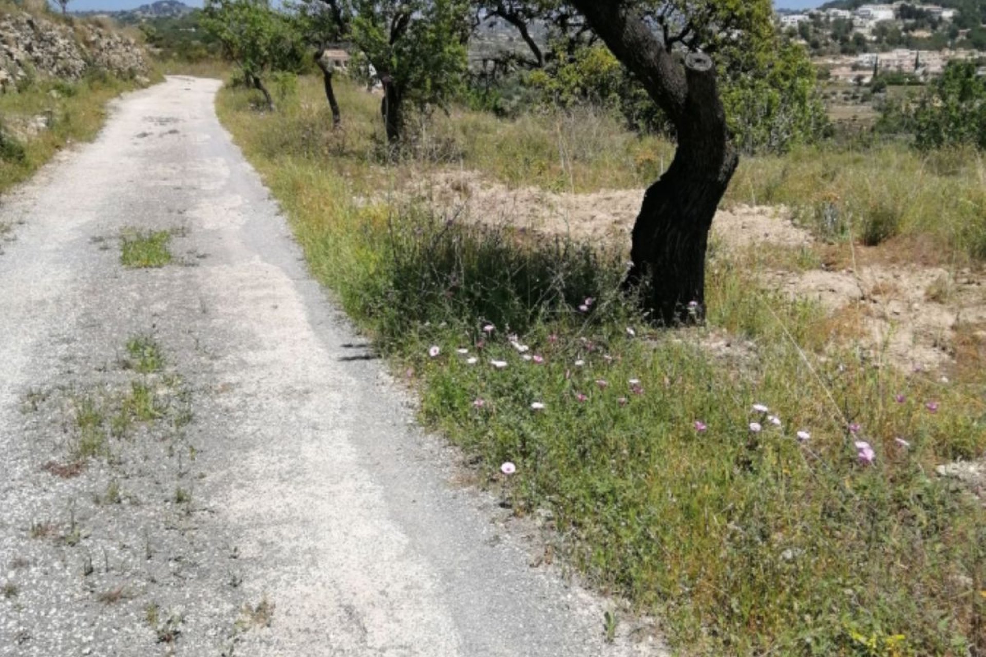 Reventa - land -
Calpe - Calpe Centro