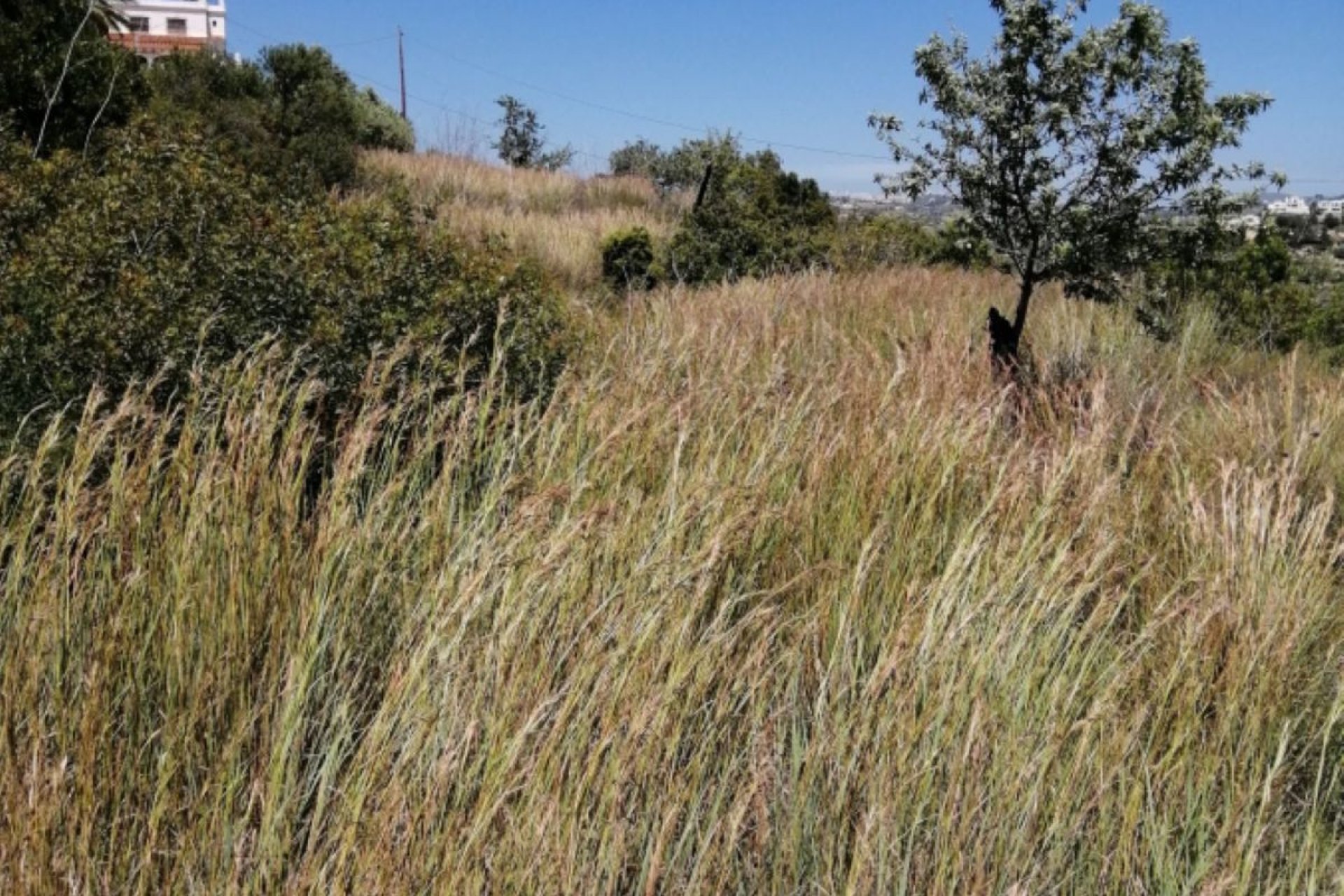 Reventa - land -
Calpe - Calpe Centro