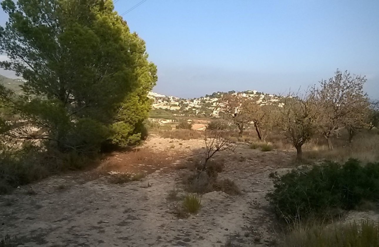 Reventa - land -
Calpe - Calpe Centro