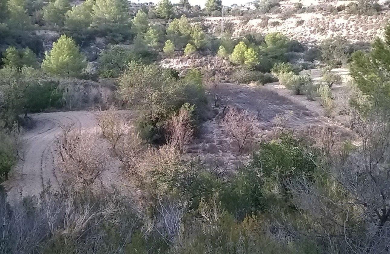 Reventa - land -
Calpe - Calpe Centro