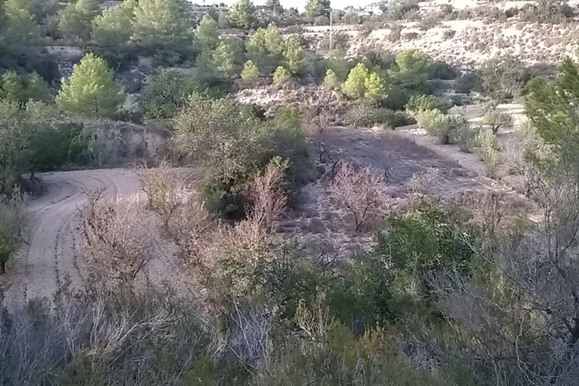 Reventa - land -
Calpe - Calpe Centro