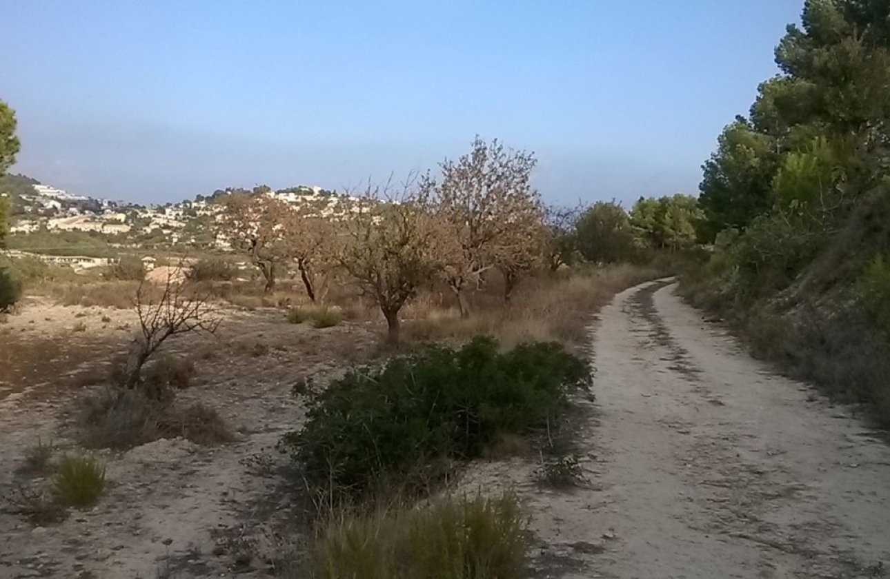 Reventa - land -
Calpe - Calpe Centro