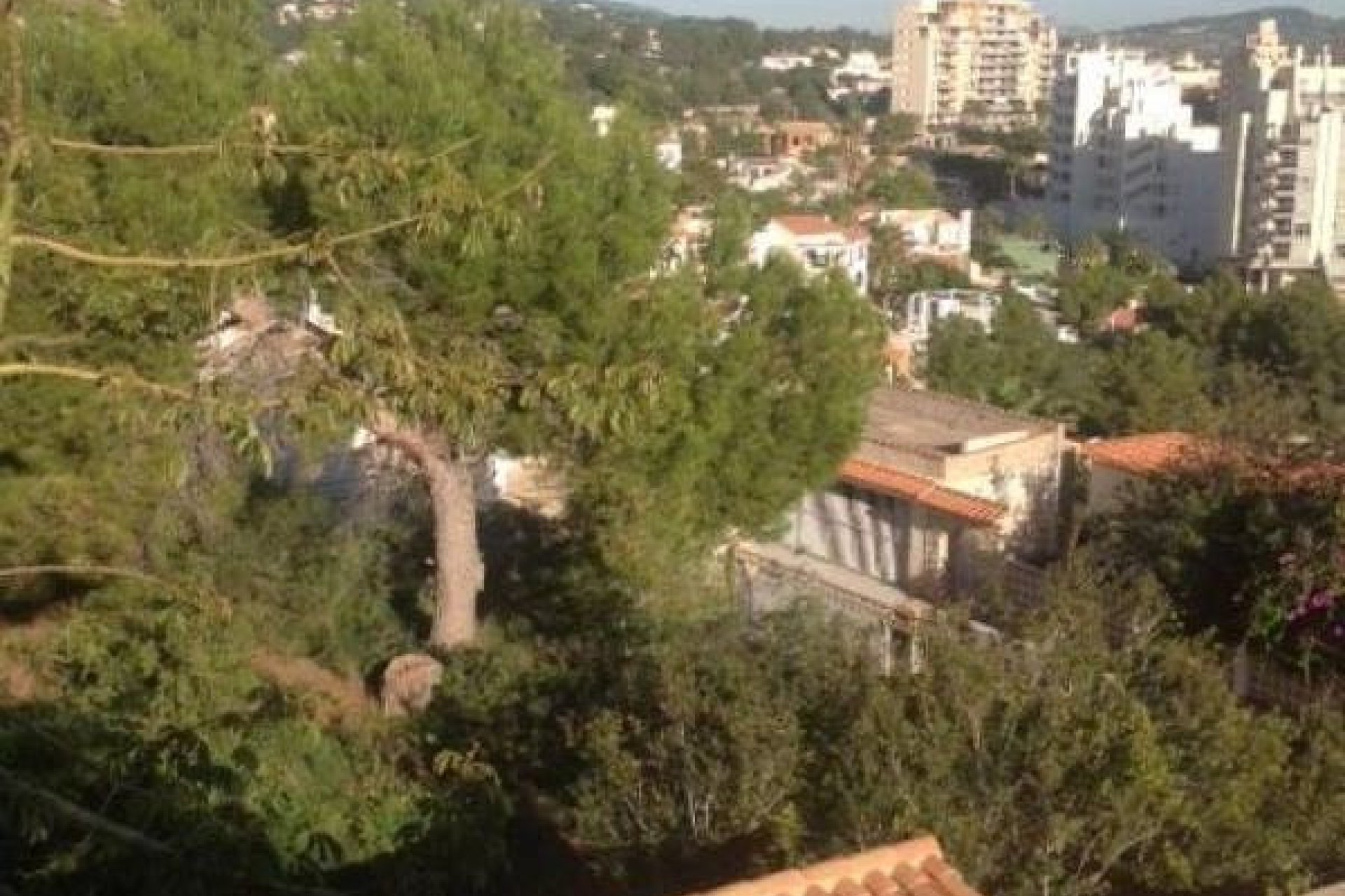 Reventa - land -
Calpe - Calpe Centro