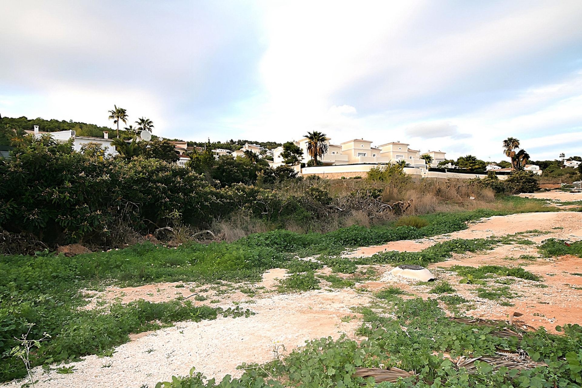 Reventa - land -
Calpe - Calpe Centro