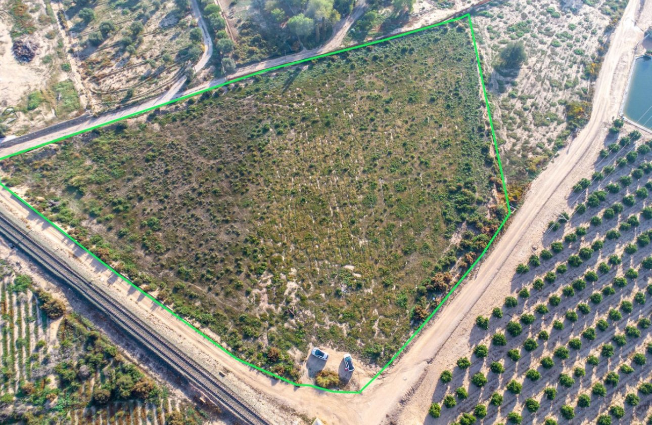 Reventa - land -
Crevillente - Crevillent - Crevillente - Crevillent Centro