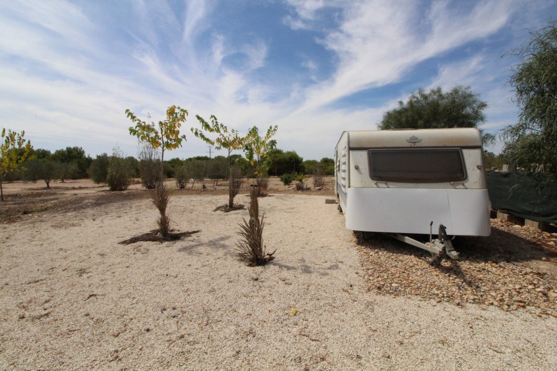 Reventa - land -
Elche - Elche Centro