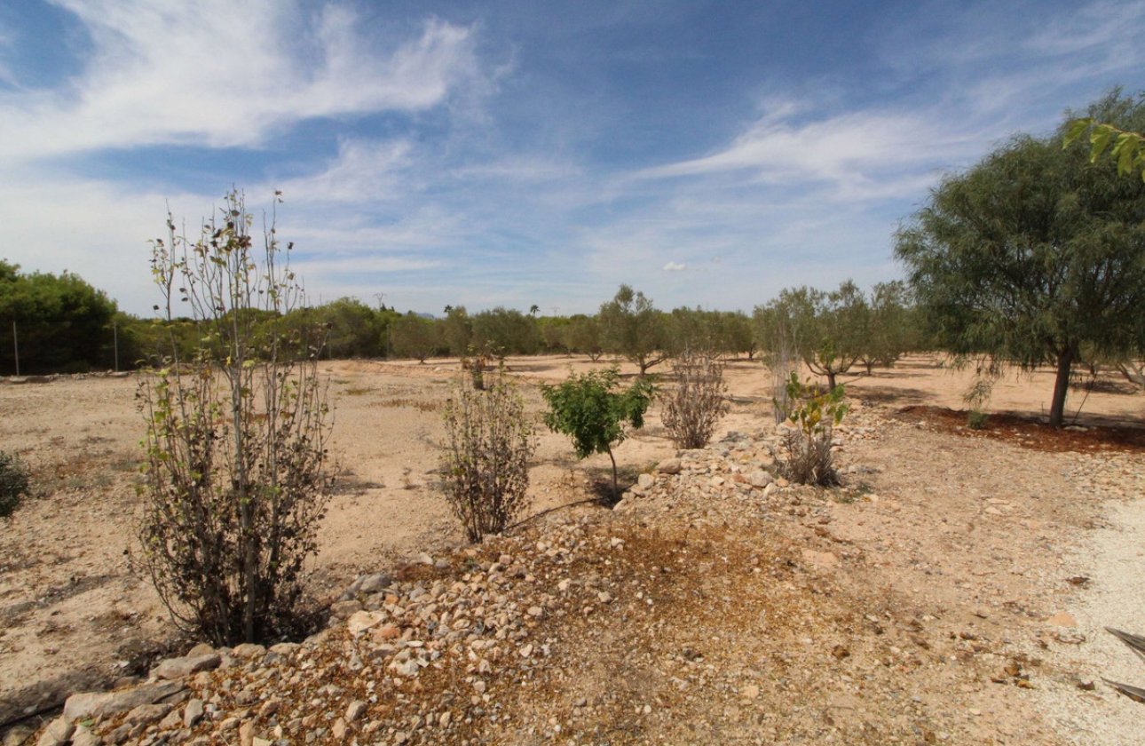 Reventa - land -
Elche - Elche Centro