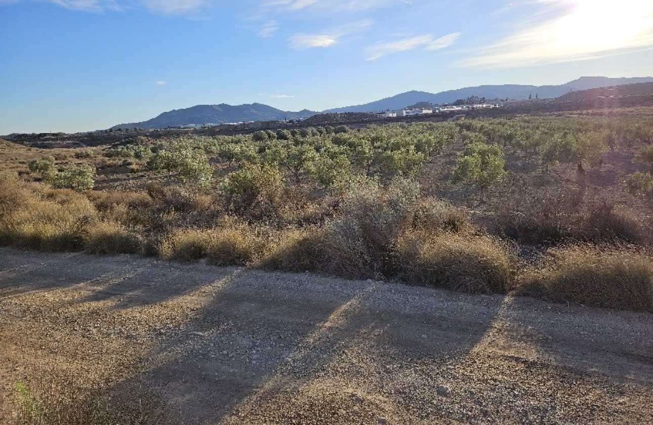 Reventa - land -
Elda - Elda Centro