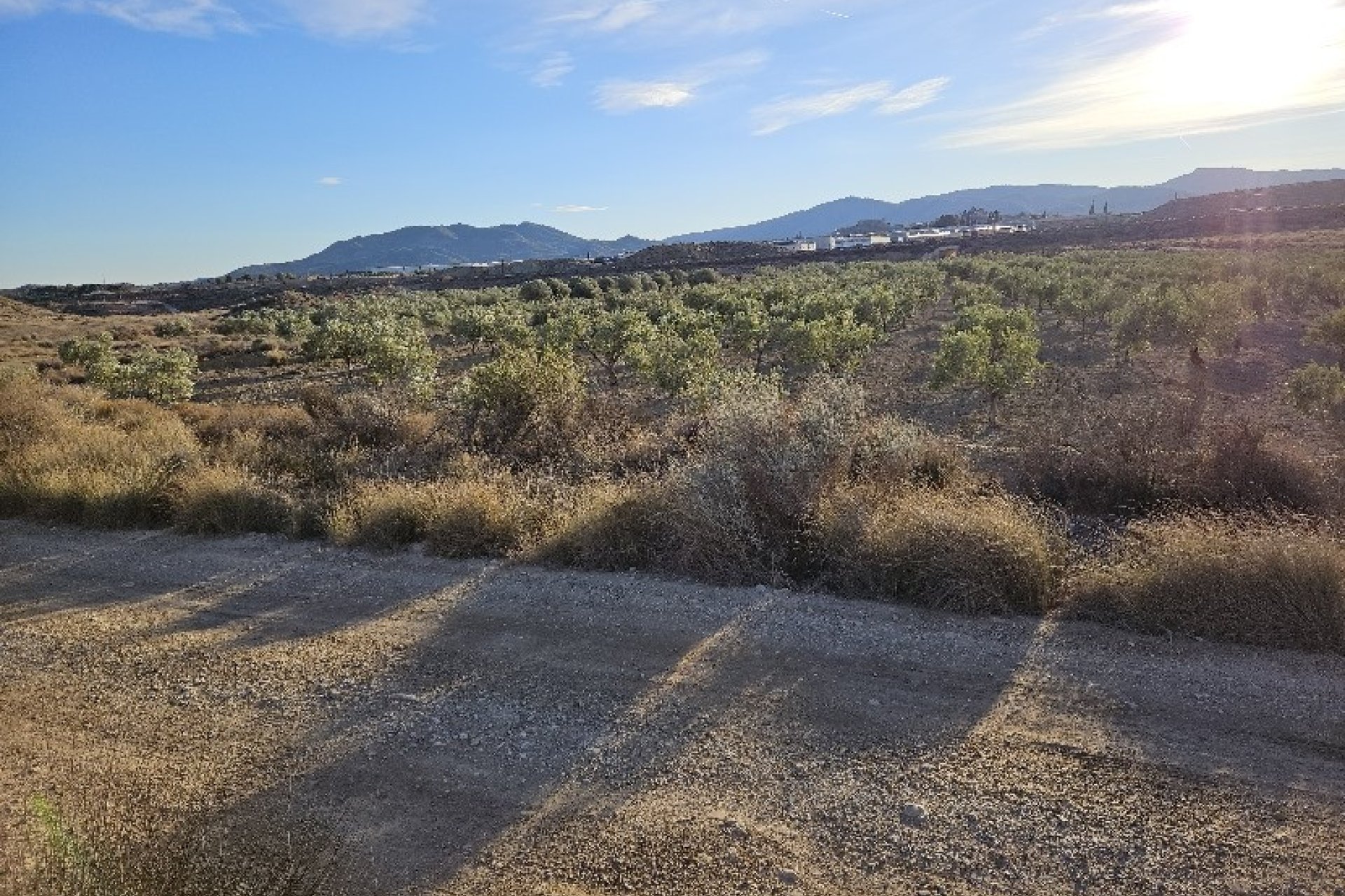 Reventa - land -
Elda - Elda Centro