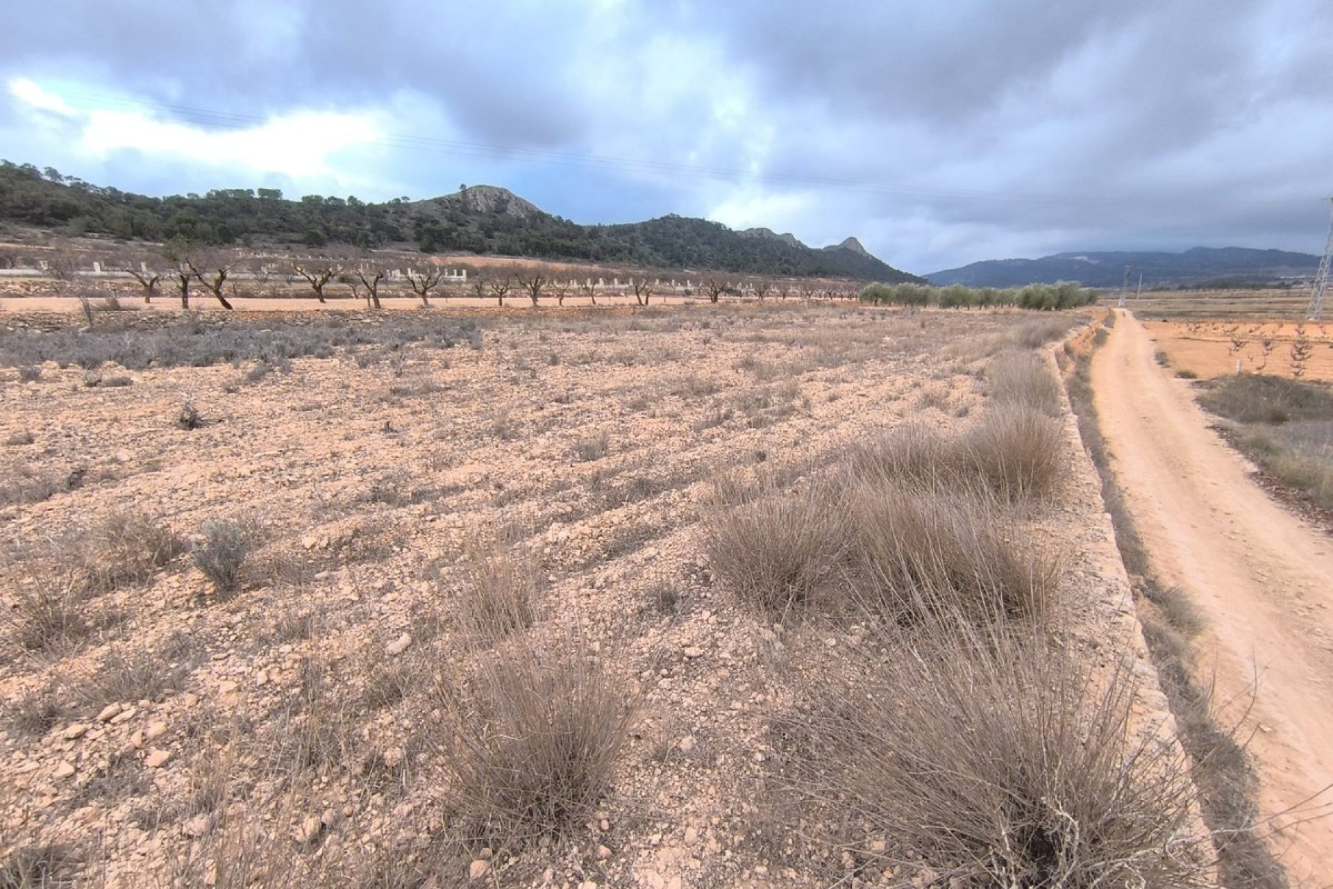 Reventa - land -
Jalón - La Solana
