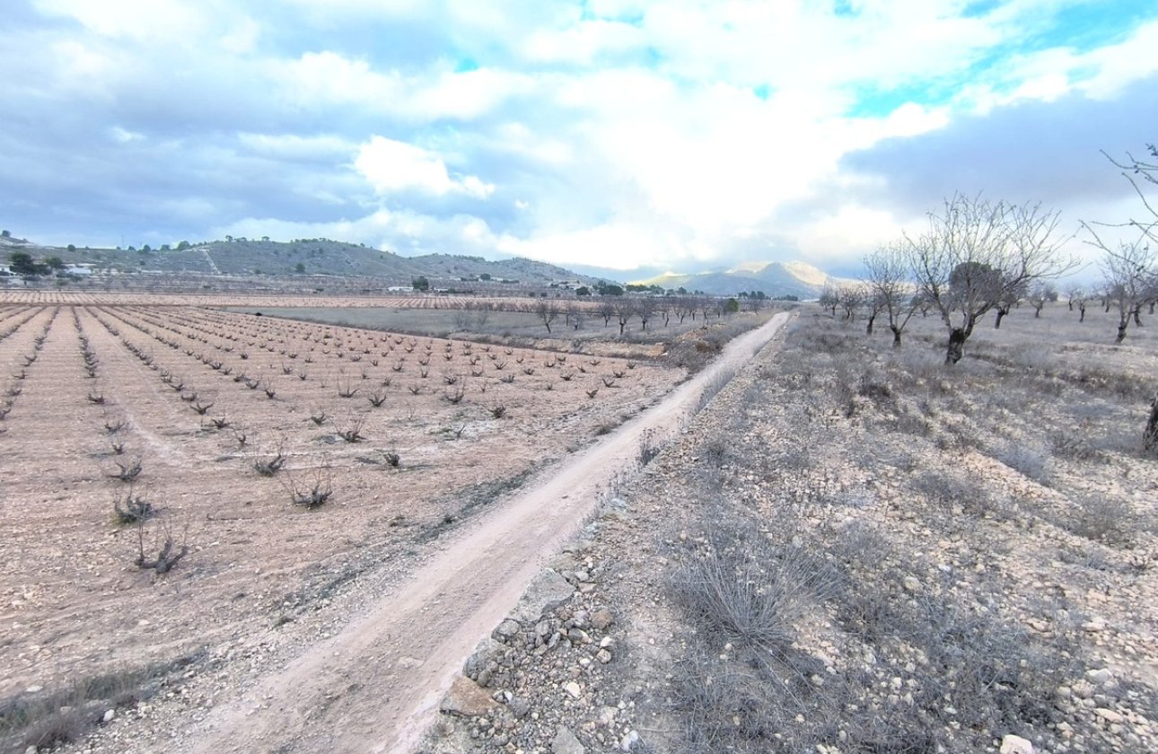 Reventa - land -
Jalón - La Solana