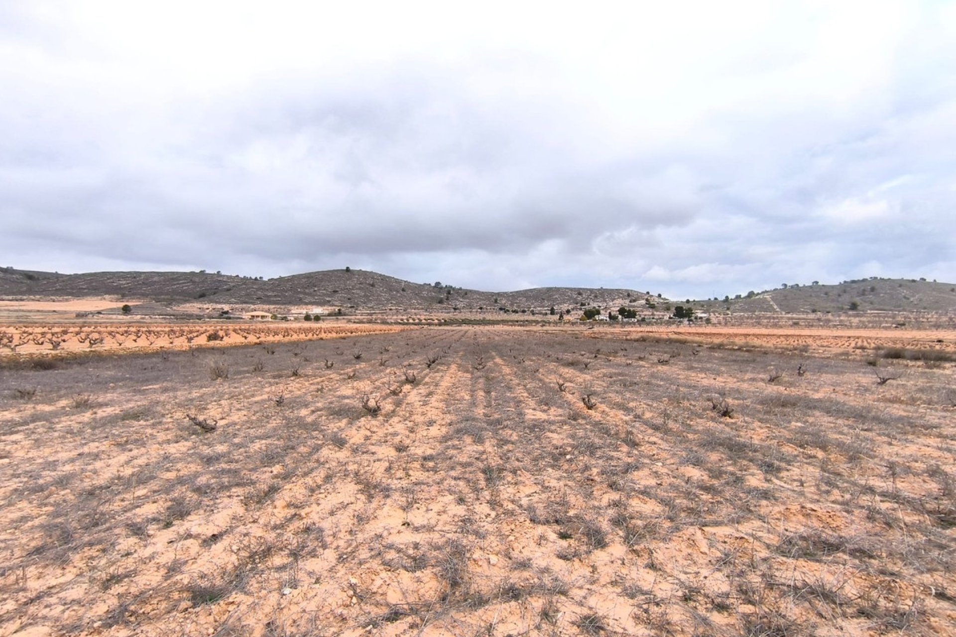 Reventa - land -
Jalón - La Solana