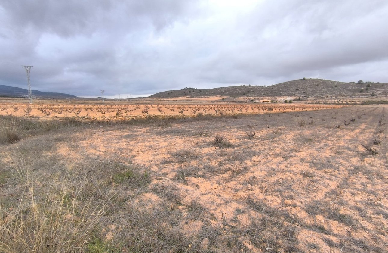 Reventa - land -
Jalón - La Solana