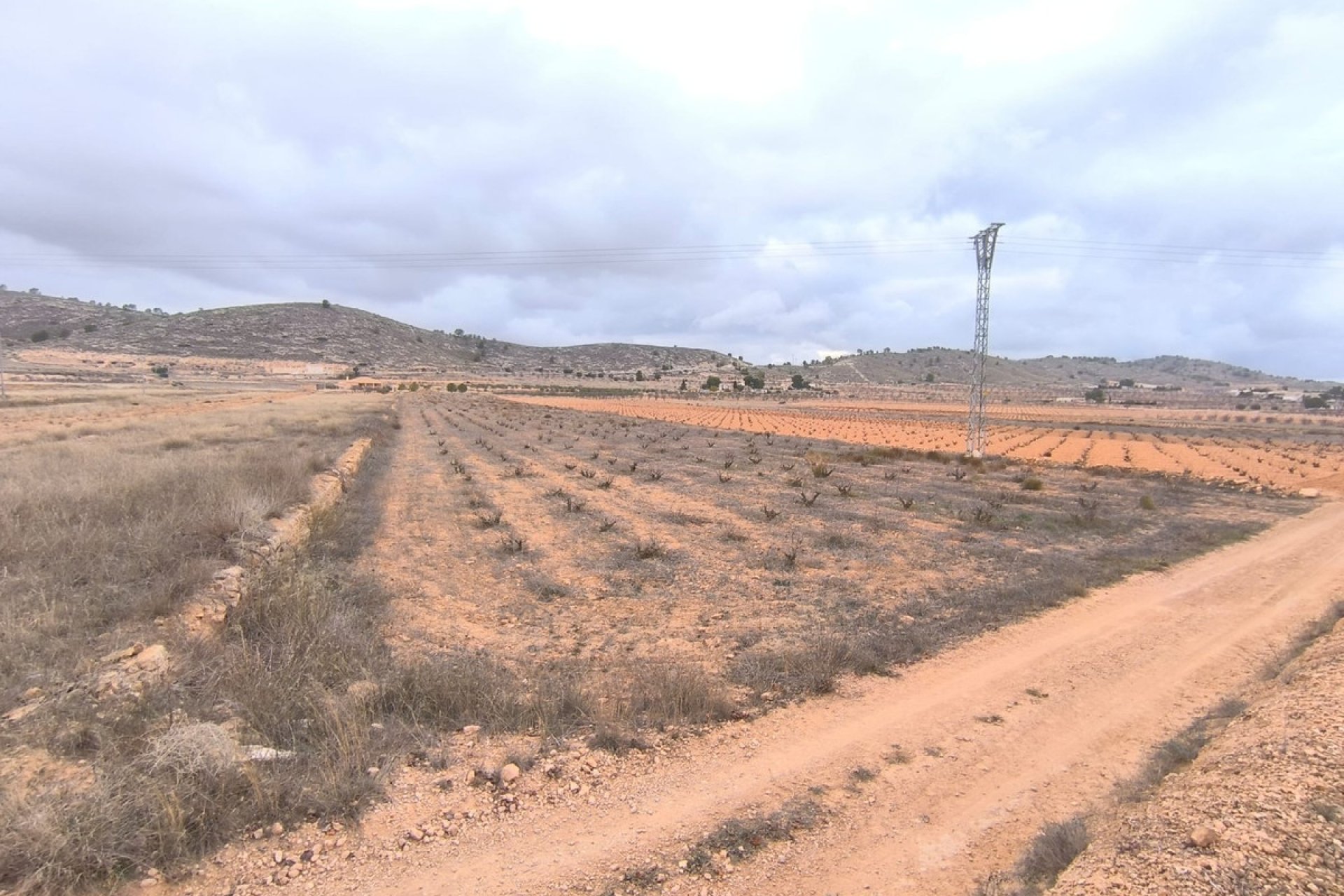 Reventa - land -
Jalón - La Solana