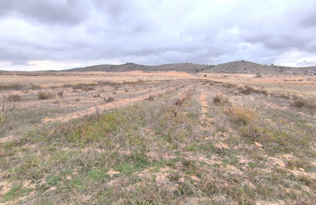 Reventa - land -
Jalón - La Solana