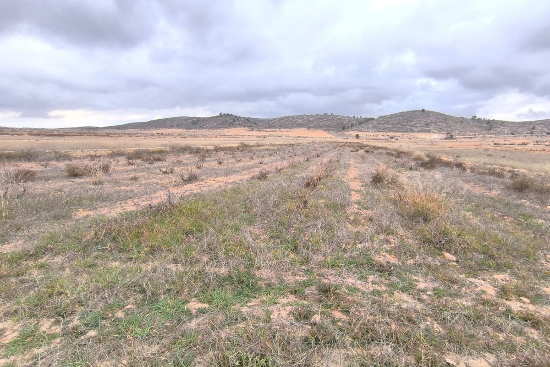 Reventa - land -
Jalón - La Solana