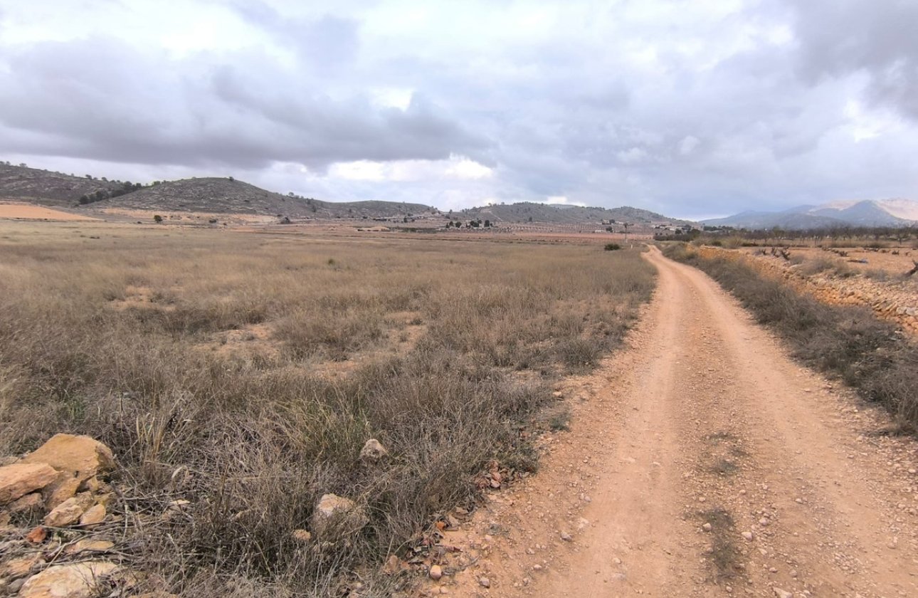 Reventa - land -
Jalón - La Solana