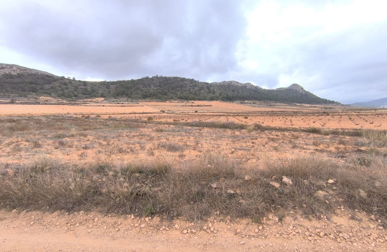 Reventa - land -
Jalón - La Solana