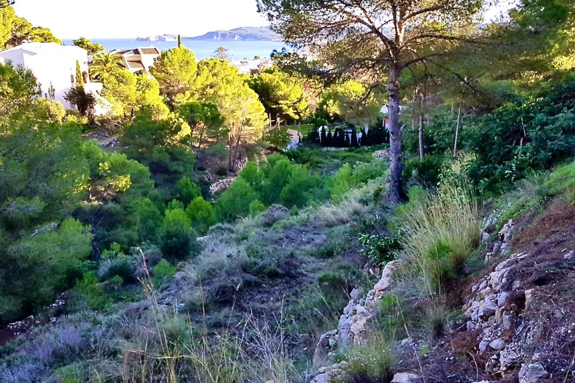 Reventa - land -
Jávea - Xàbia - Jávea - Xàbia Centro