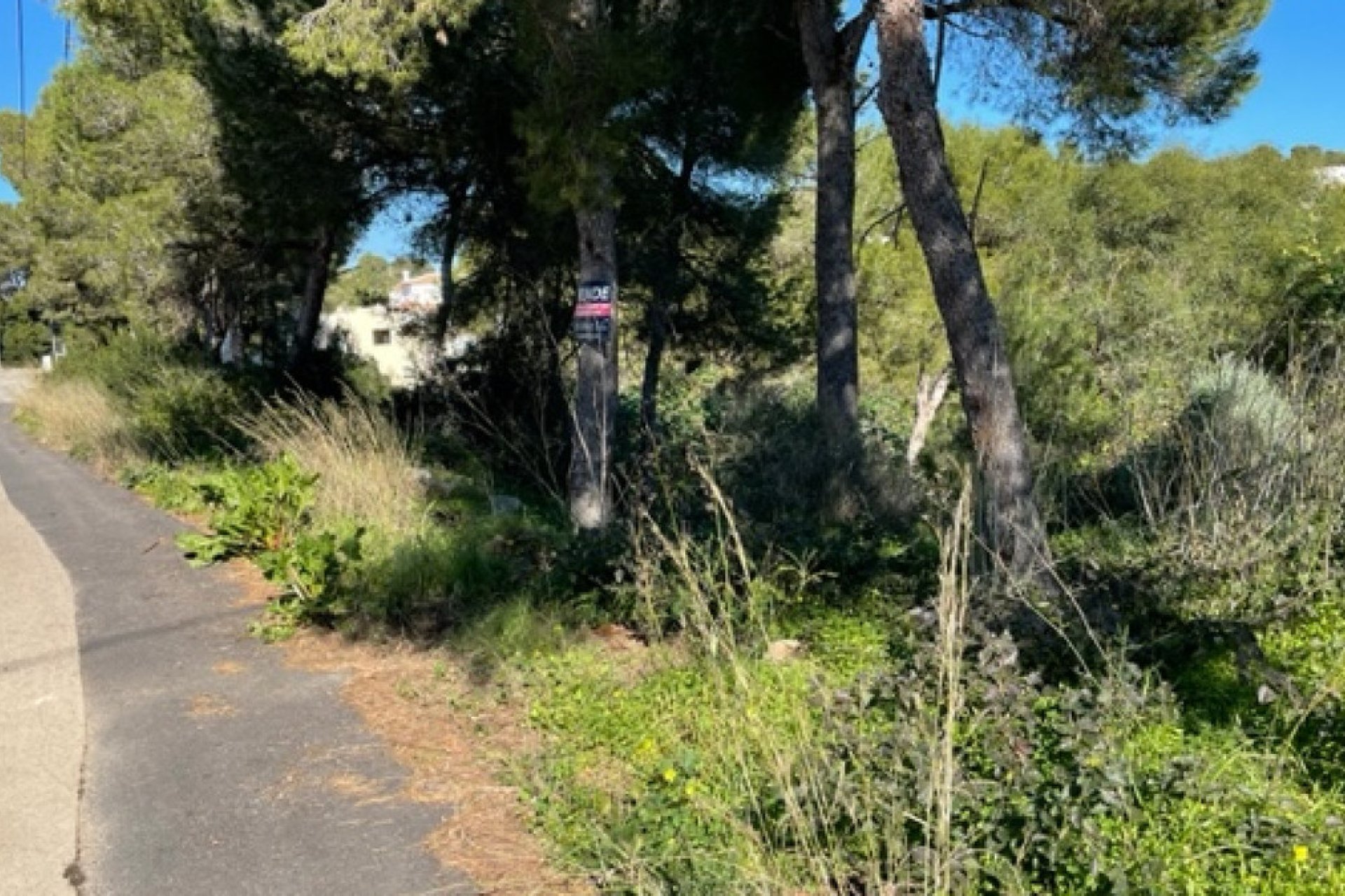 Reventa - land -
Jávea - Xàbia - Jávea - Xàbia Centro