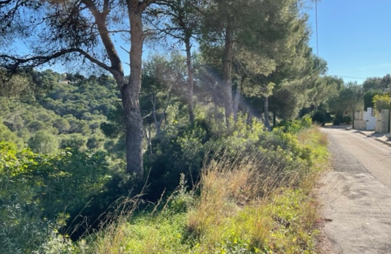 Reventa - land -
Jávea - Xàbia - Jávea - Xàbia Centro