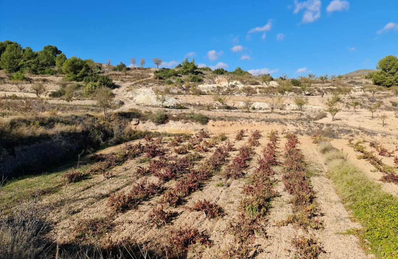 Reventa - land -
La Romana - La Romana Centro