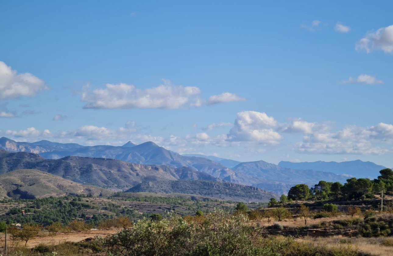 Reventa - land -
La Romana - La Romana Centro