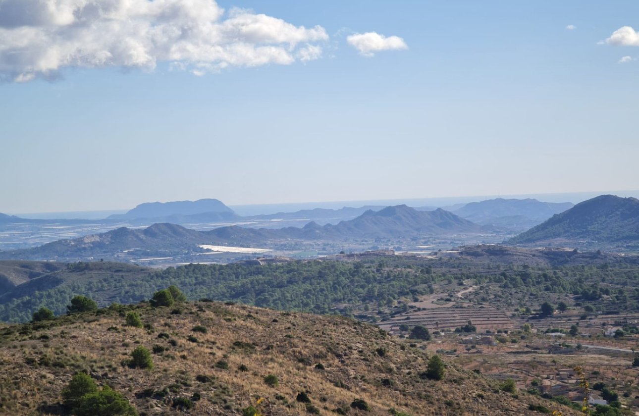 Reventa - land -
La Romana - La Romana Centro