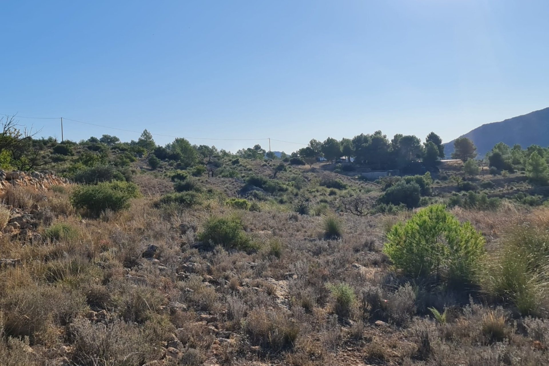 Reventa - land -
La Romana - La Romana Centro