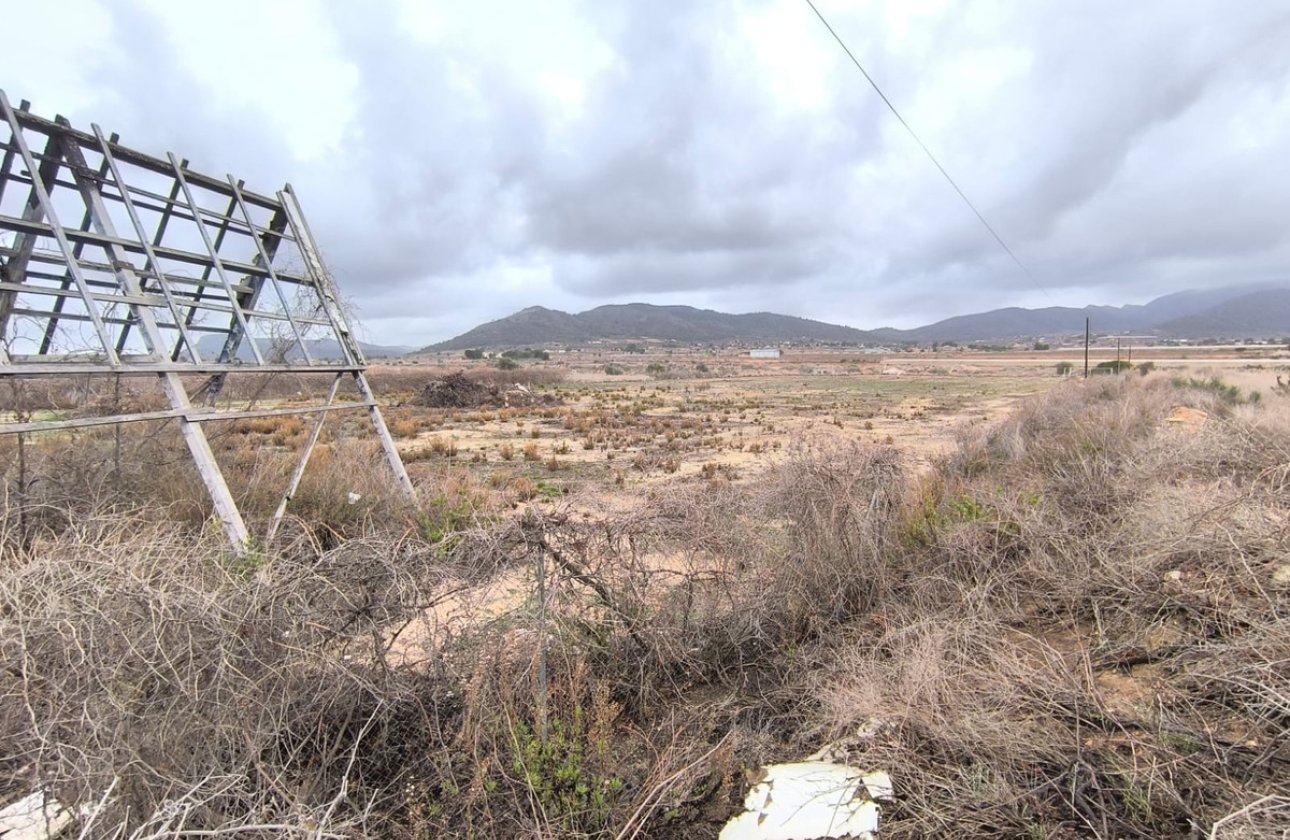 Reventa - land -
La Romana - La Romana Centro