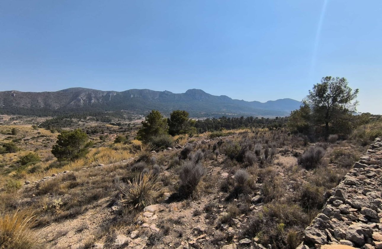 Reventa - land -
La Romana - La Romana Centro