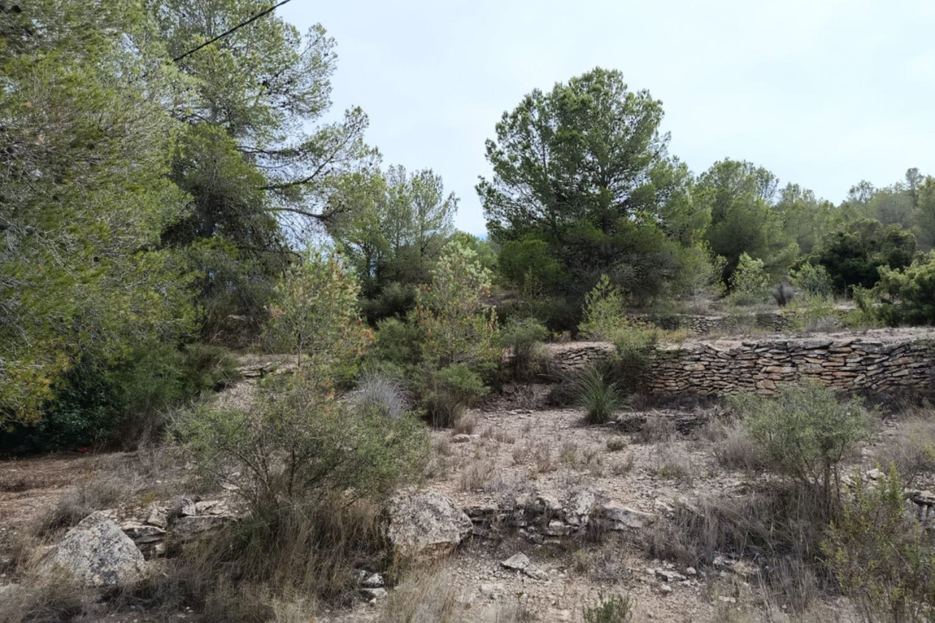 Reventa - land -
Monóvar - Monòver - Monóvar - Monòver Centro