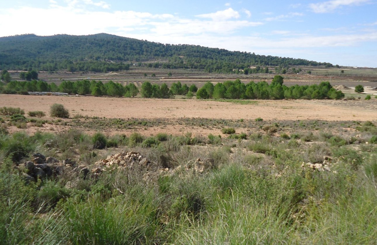 Reventa - land -
Monóvar - Monòver - Monóvar - Monòver Centro