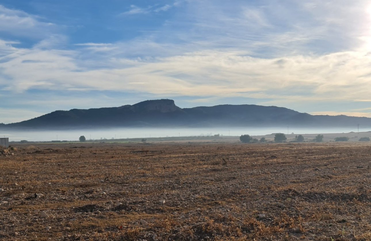 Reventa - land -
Monóvar - Monòver - Monóvar - Monòver Centro