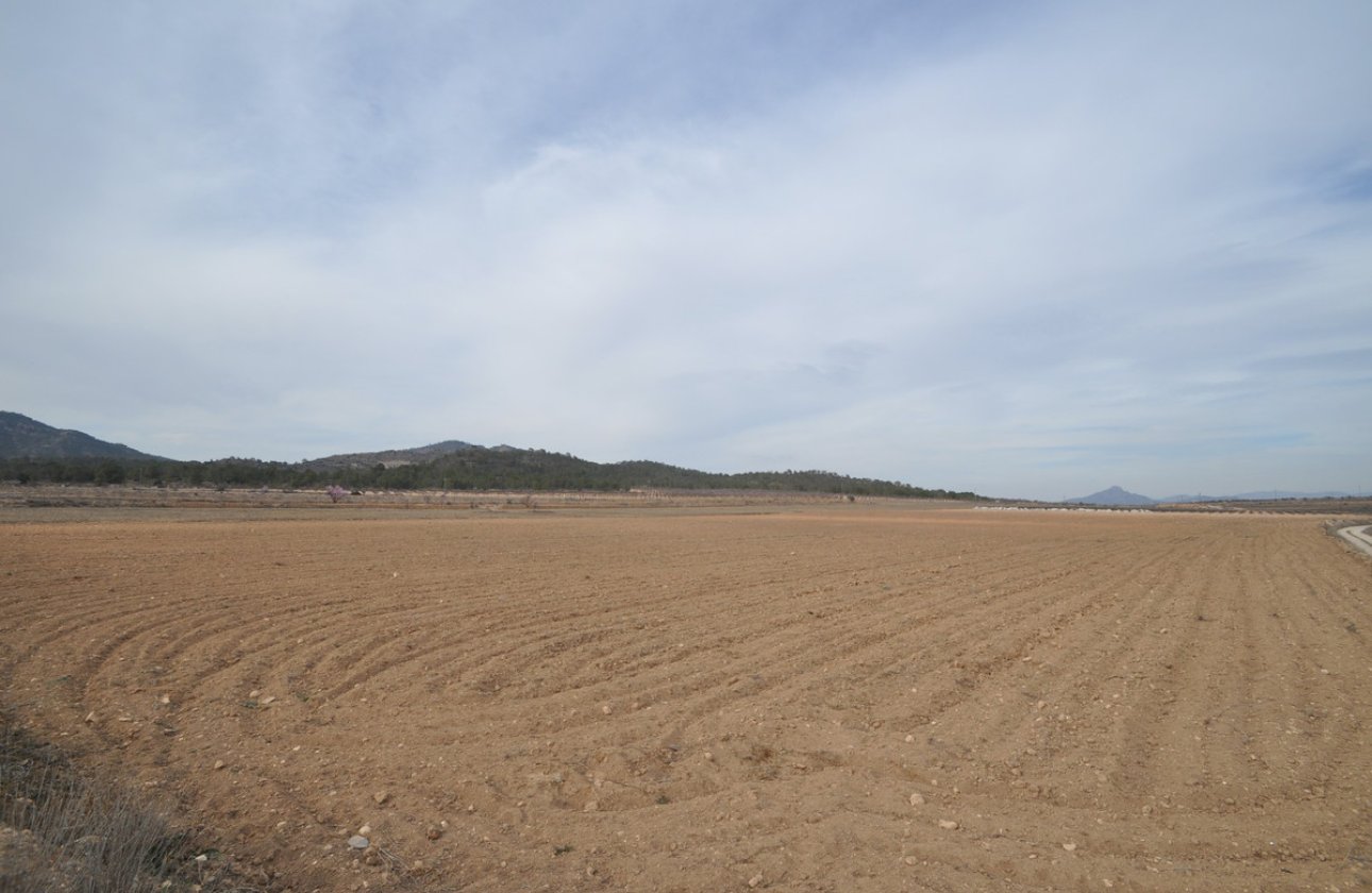 Reventa - land -
Monóvar - Monòver - Monóvar - Monòver Centro