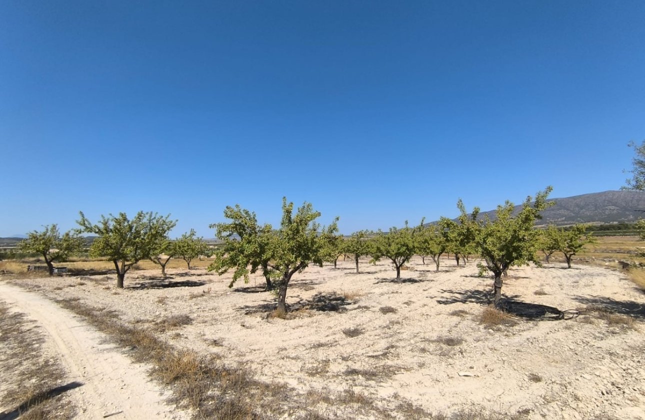 Reventa - land -
Monóvar - Monòver - Monóvar - Monòver Centro