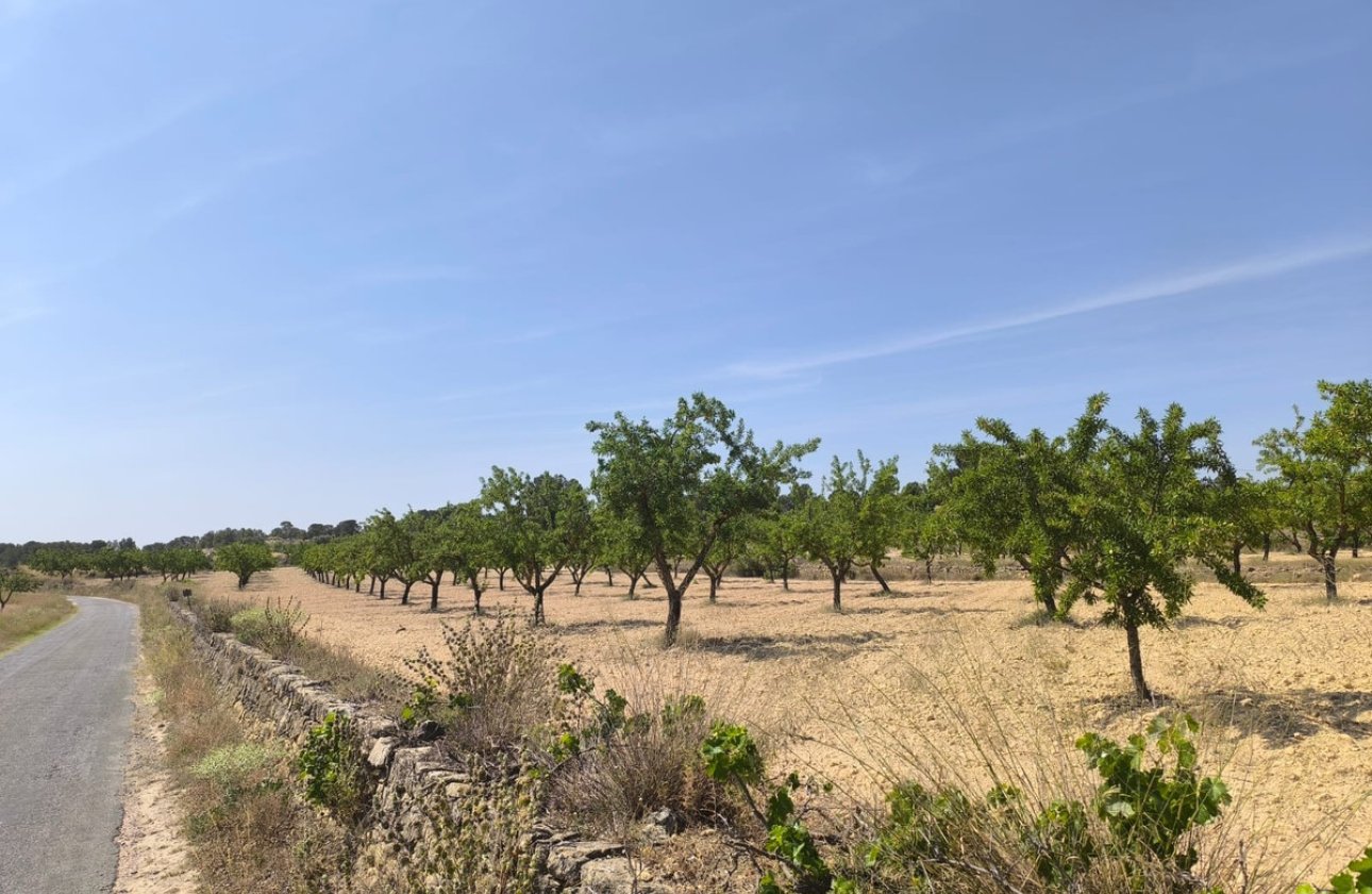 Reventa - land -
Monóvar - Monòver - Monóvar - Monòver Centro