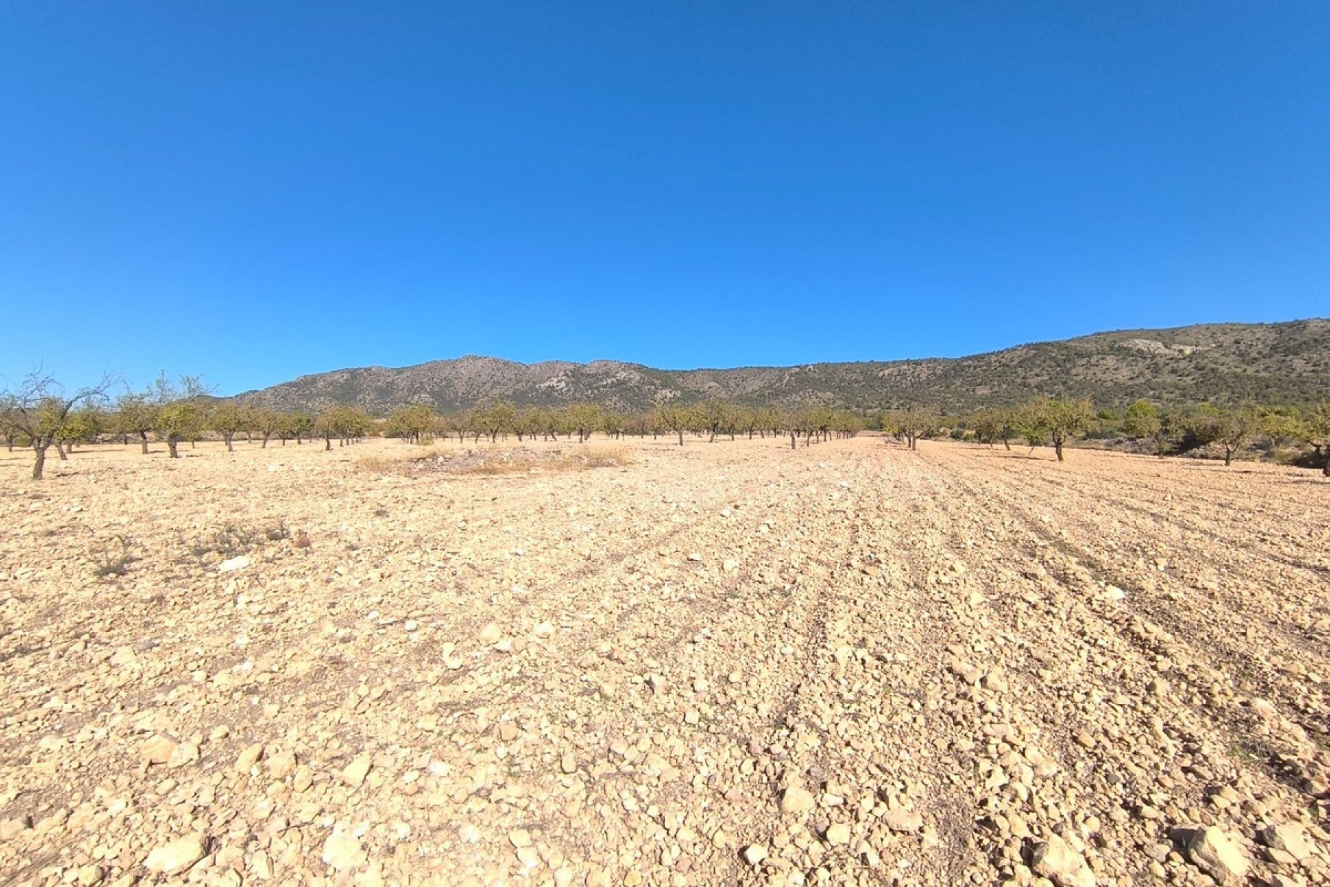 Reventa - land -
Monóvar - Monòver - Monóvar - Monòver Centro